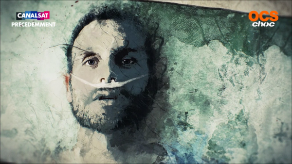 (c) Canalsat