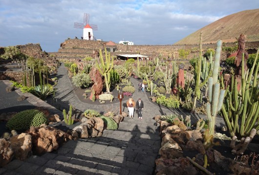 jardin cactus lanzarote canaries