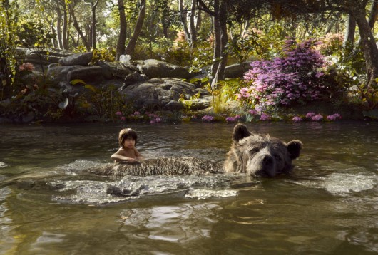 mowgli baloo livre de la jungle
