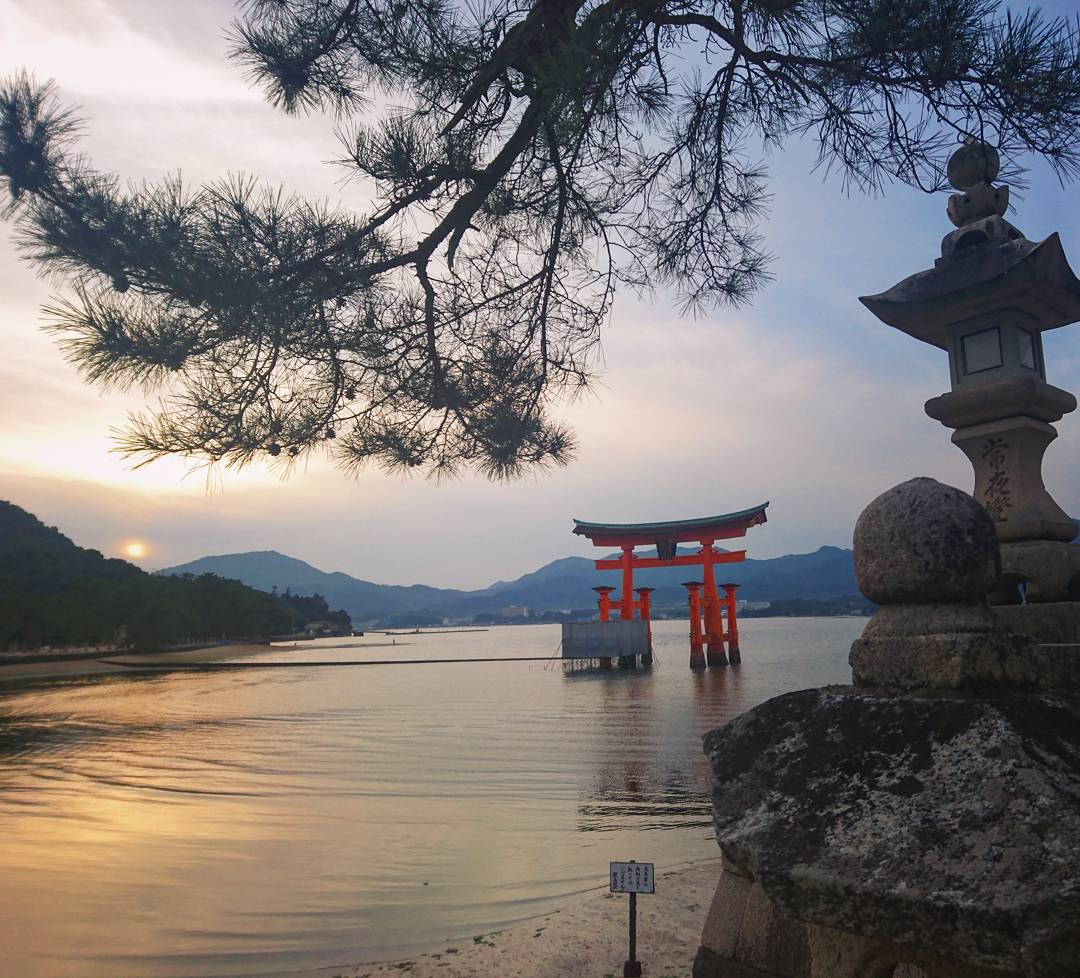 miyajima torii japon