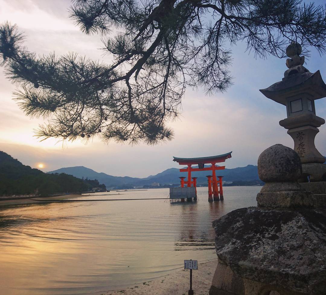 miyajima torii japon